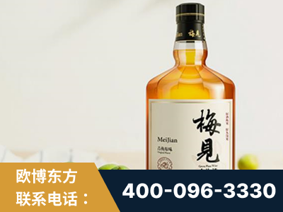 黄冈-梅见青梅酒